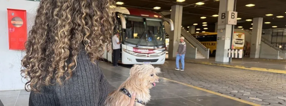 Animais agora podem viajar de ônibus intermunicipal em MG — mas é preciso pagar passagem